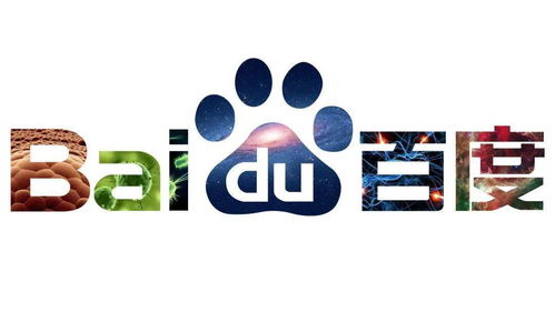 如何选择合适的服务器来搭建蜘蛛池