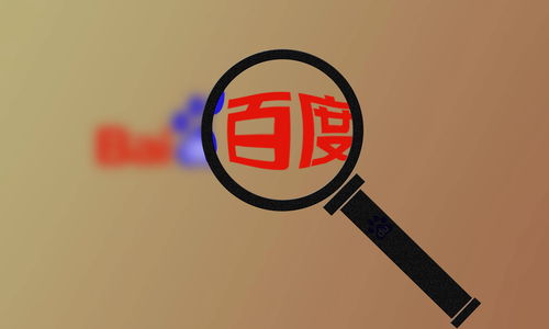 蜘蛛池站群域名